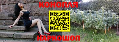 индика Пушкино