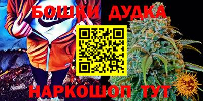 каннабис Будённовск